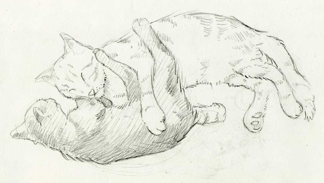 sketch:two cats napping